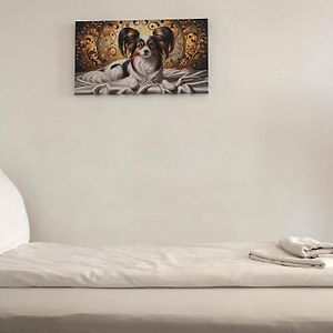 Studio Appartement